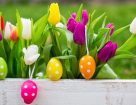 White dots on Easter eggs and colorful tulips -Happy Holiday