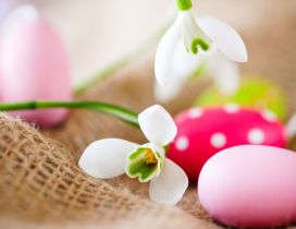 Snowdrops and colorful Easter eggs - Happy Spring Holiday