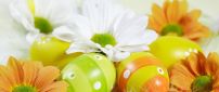 Spring color on flowers and Easter eggs - HD Holiday