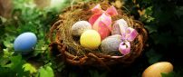Easter basket full with coloured eggs with ribbon