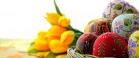 Colorful Easter eggs and yellow tulips on background