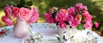 Special tea in a wonderful garden full with pink roses