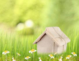 Small house gift and spring flowers - HD wallpaper