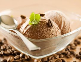 Fresh and sweet dessert - Coffee ice cream and mint