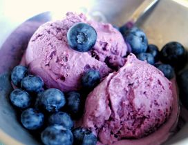 Cold summer dessert - Blueberry ice cream