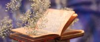 Summer flowers flying from a book - HD wallpaper