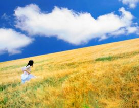 Running through the wheat field  - Golden summer time