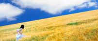 Running through the wheat field  - Golden summer time