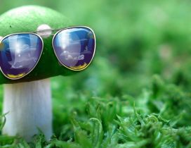 Creative wallpaper - Mushroom with sunglasses