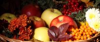 Autumn basket full with fruits - HD wallpaper