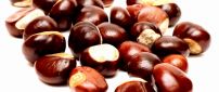 Delicious Autumn fruits - Chestnuts