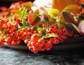 Autumn flowers and fruits - Orange wallpaper