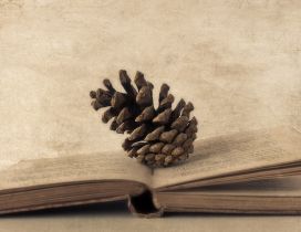 Pinecone on an old book - HD wallpaper