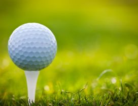 Small golf ball on the green field - HD sport wallpaper