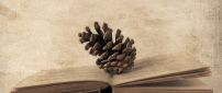 Pinecone on an old book - HD wallpaper