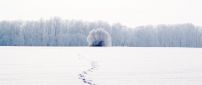 Traces in the snow - Wonderful white winter season