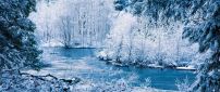 Amazing blue and white frozen nature - Cold winter season