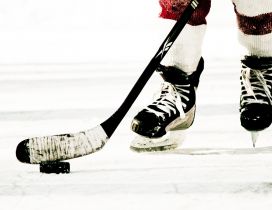 Preparing for shoot - hockey on ice - Winter sport time