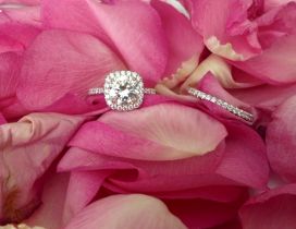 Silver ring and pink rose petals - Happy Valentines Day