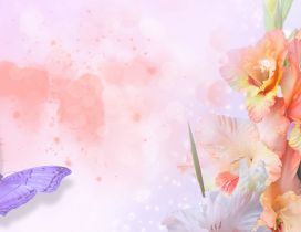 Purple butterfly and pink flowers - Beautiful spring season