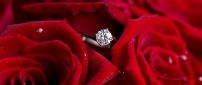 Silver ring for marriage and beautiful red roses