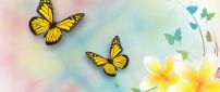 Yellow butterflies and beautiful flowers - Spring season