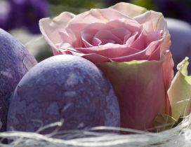 Beautiful pink rose and purple Easter eggs on a basket