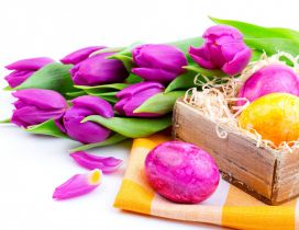 Colorful holiday in Spring season - Happy Easter eggs