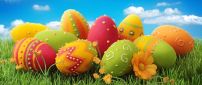 Beautiful painted Easter eggs on the grass - Happy Holiday