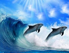 Inteligent animals -Dolphins play in the water jump in waves