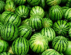 Green wallpaper - lots of watermelons - delicious fruit