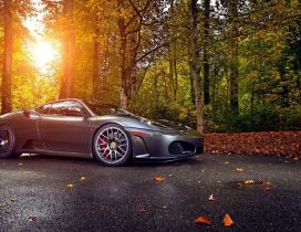 Luxury car in the forest - Autumn sun and leaves