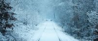Wild animal deers on a railroad - White Winter seaon