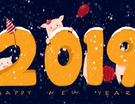 Chinese pig year 2019 - Happy New Year