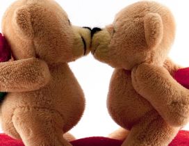 Two sweet lover bears are kissing - Happy Valentine's Day