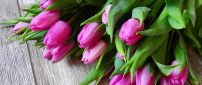 Bouquet with pink tulips - Wonderful spring season