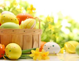 Spring yellow flowers and colorful Easter eggs-Happy Holiday