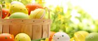 Spring yellow flowers and colorful Easter eggs-Happy Holiday