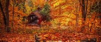 Old rail station and garaj in the forest - Autumn leaves