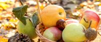 Autumn fruits - Basket full with delicious apples