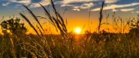 Sunset time over the wheat field - Summer and Autumn seasons