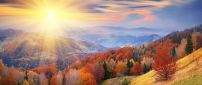 Sun is upon a wonderful Autumn day - Beautiful landscape