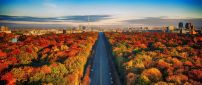 Beautiful highway through forest - Autumn season