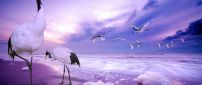 Flock of storks near the ocean - Purple moments