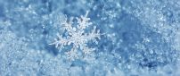 Perfect snowflake cold and ice - Macro winter wallpaper