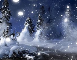Cold winter night - Snow time over Forest