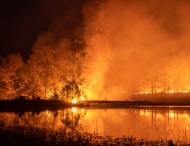 Australia burn - Fire in the continent