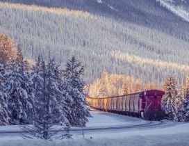 Frozen freight train through forest - Winter wallpaper