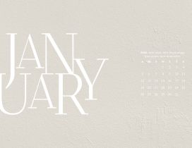 Calendar 2020 January month - Wall design