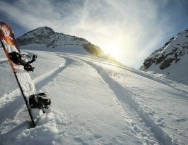 Wonderful sunshine over the white snow - Snowboarding